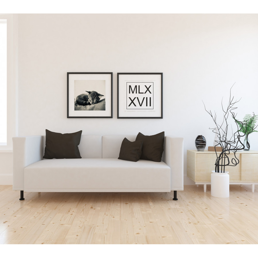 Láminas decorativas para enmarcar en mejorada del campo